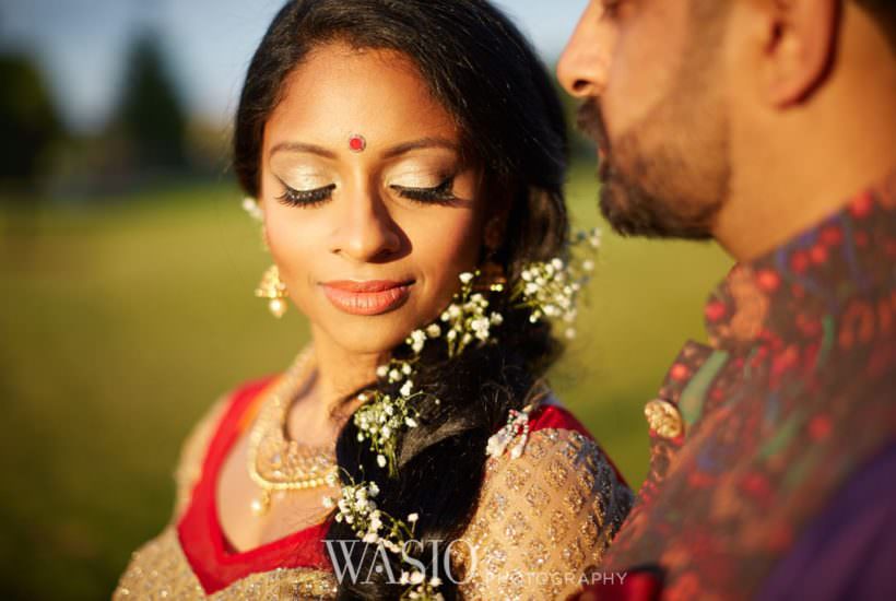 Chicago Indian Wedding Photograher 1 San Diego Orange County