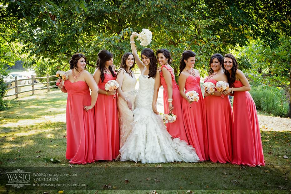 Chciago-Greek-Wedding-Venutis-0390-bridesmaids-fun-portrait-park-931x620 Greek Wedding at Venuti's - Tanya + Nick