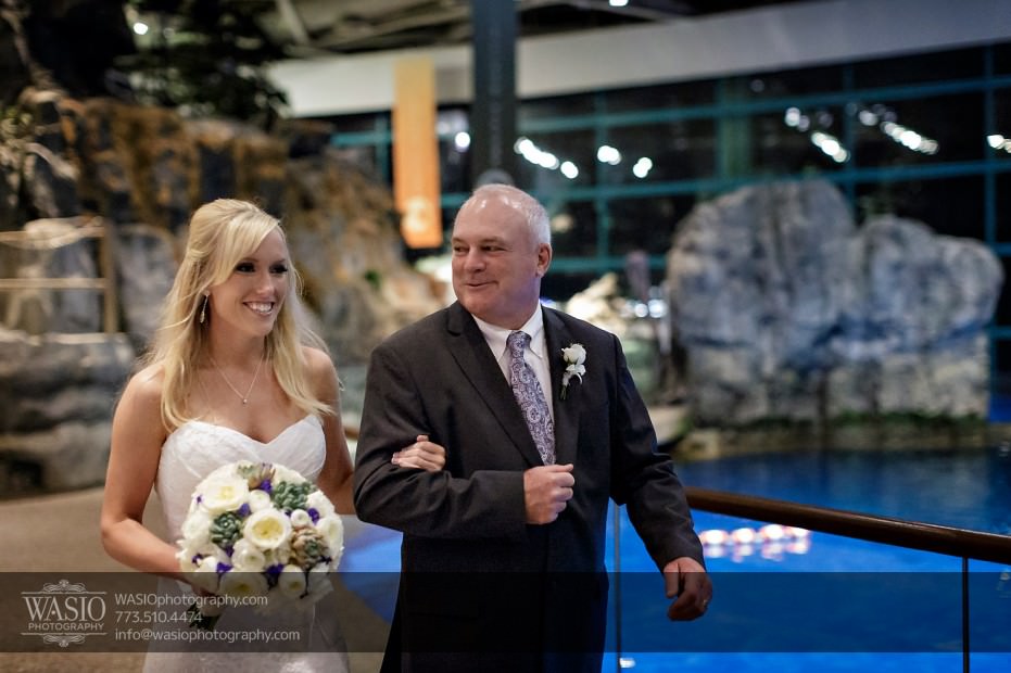 Chicago-Shedd-Aquarium-Wedding-Photography_024-931x620 Chicago Shedd Aquarium Wedding - Caitlin & Andres