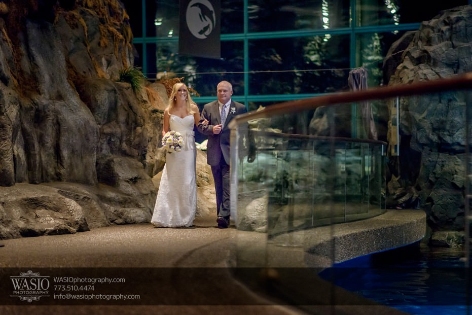 Chicago-Shedd-Aquarium-Wedding-Photography_025-931x621 Chicago Shedd Aquarium Wedding - Caitlin & Andres