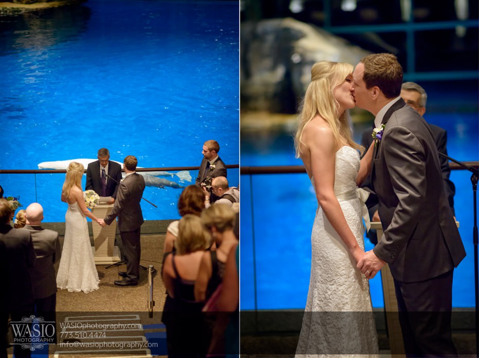 Chicago-Shedd-Aquarium-Wedding-Photography_028-931x696 Chicago Shedd Aquarium Wedding - Caitlin & Andres