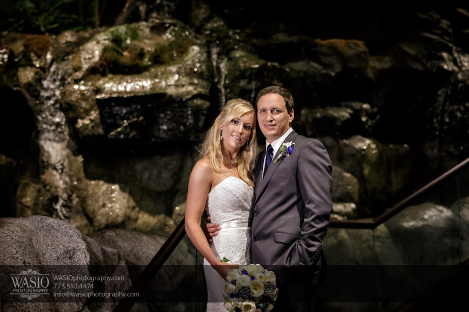 Chicago-Shedd-Aquarium-Wedding-Photography_029-931x620 Chicago Shedd Aquarium Wedding - Caitlin & Andres