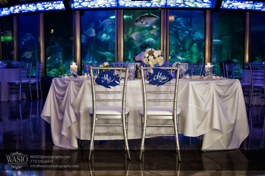 Chicago-Shedd-Aquarium-Wedding-Photography_033-931x620 Chicago Shedd Aquarium Wedding - Caitlin & Andres